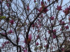 -华南国家植物园-售票处