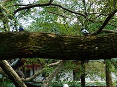 -南华禅寺