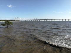 -宝安西湾红树林湿地公园