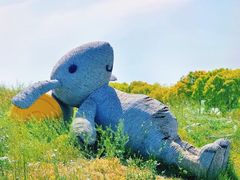 -嘉北郊野公园