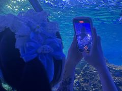 -江和美海洋公园