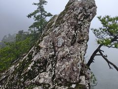 -王顺山国家森林公园