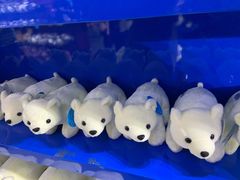 -太平洋海底世界