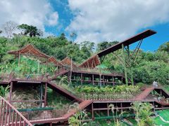 -海南热带雨林国家公园吊罗山景区