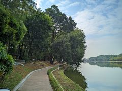 -南国桃园旅游度假区