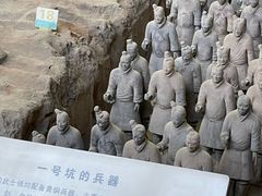 -秦始皇帝陵博物院(兵马俑)