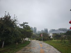 -燕郊植物园