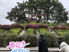 -自贡恐龙博物馆