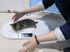 -哆趣宠物医院·眼科·内镜·急重症转诊中心(上海店)