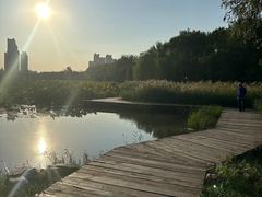 -前关湿地公园