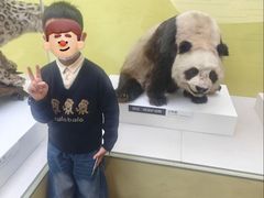 -国家自然博物馆