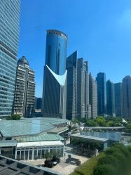 -巍阁高端月子会所