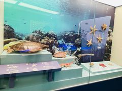 -上海中国航海博物馆