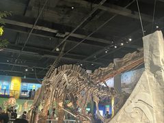 -国家自然博物馆