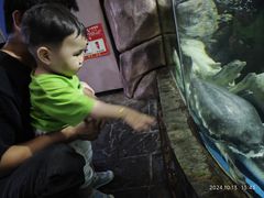 -苏州海洋馆
