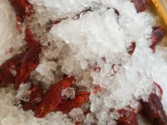 旺小胖招牌冰镇龙虾-旺小胖小龙虾