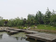 -上海鲜花港