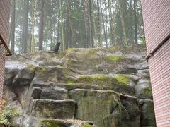 -铁山坪森林公园