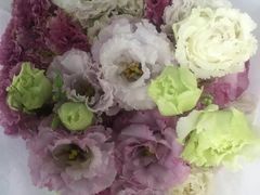 -循礼门鲜花花市(武汉循礼门店)