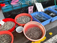 -清远三鸟海鲜农贸市场