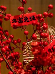 -蜜悦居月子中心(国金中心店)