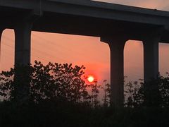 -大湾区中央湿地公园-十九涌