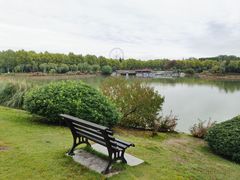 -宜兴龙背山森林公园