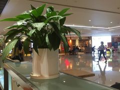 -妈妈故事米线(市府恒隆店)