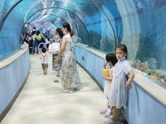 -苏州海洋馆