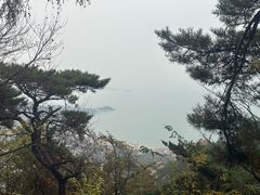 -崂山仰口游览区