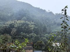 -杨家堂村