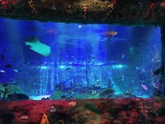 -沈阳海洋探索中心