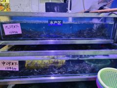 -八仔大富楼·河鲜(西江店)