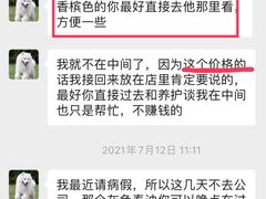 -翊宠yipet猫狗购宠庄园犬舍•猫舍