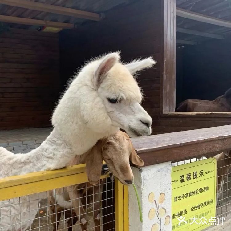 假期带宝贝来这里感受大自然的欢乐吧。