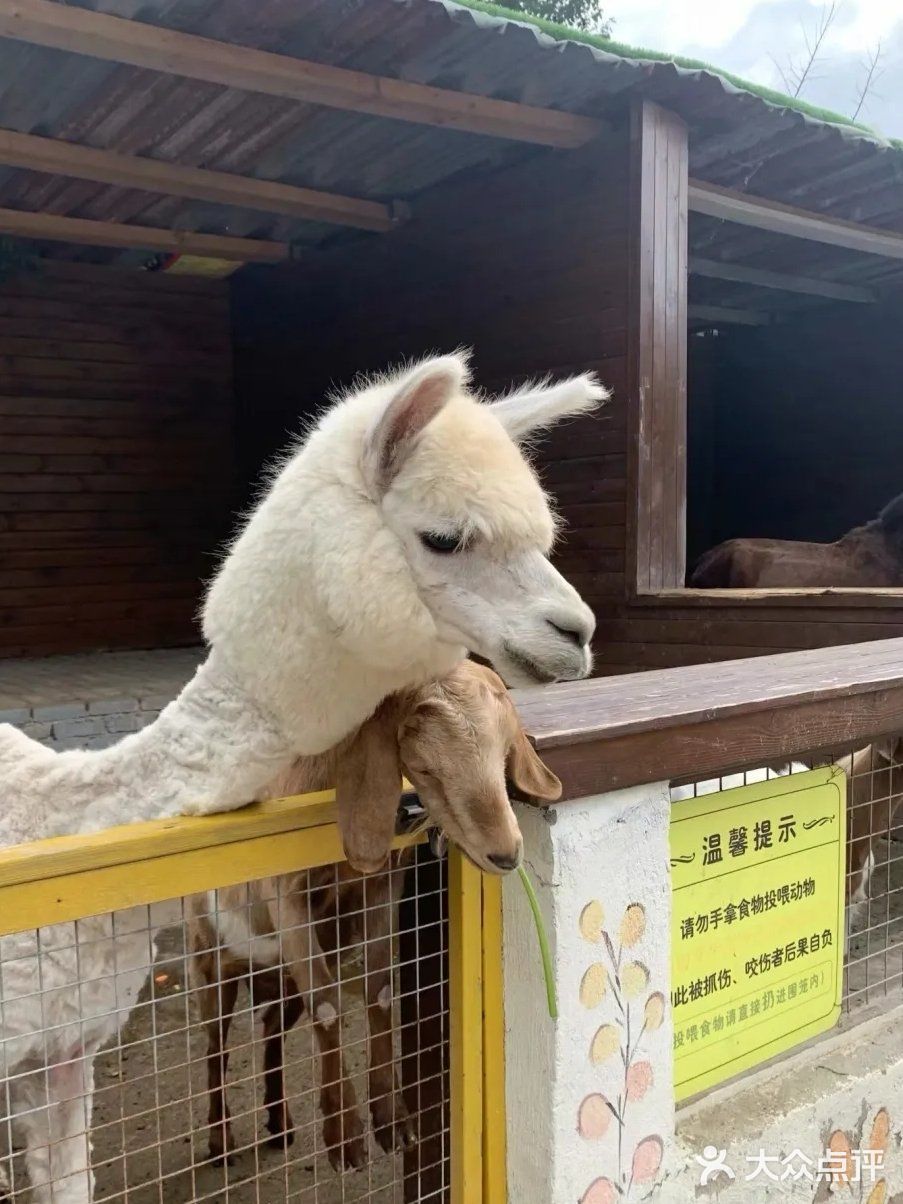 假期带宝贝来这里感受大自然的欢乐吧。