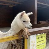 假期带宝贝来这里感受大自然的欢乐吧。