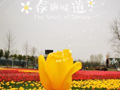 -云幽谷旅游区