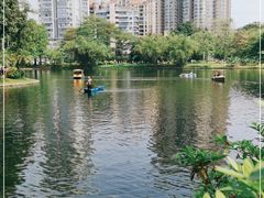 -晓港公园