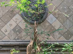 -31号公馆(黄兴广场白果园店)