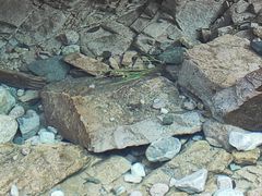 -崂山九水游览区