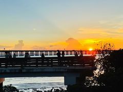 -宝安西湾红树林湿地公园