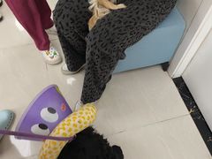 -美联众合动物医院·24h京西诊疗中心
