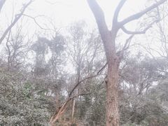-伯先公园