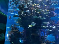 -多彩贵州城极地海洋世界