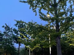 -大连外国语大学(旅顺校区)