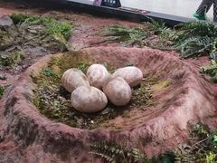 -湖南省地质博物馆