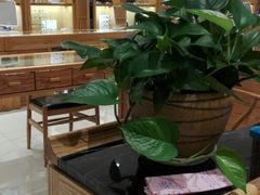 -宝丽眼镜(湖墅店)