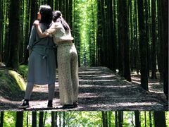 -山王坪喀斯特国家生态公园