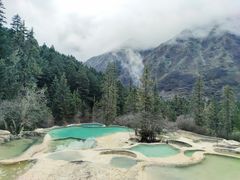 -黄龙山原始森林景区